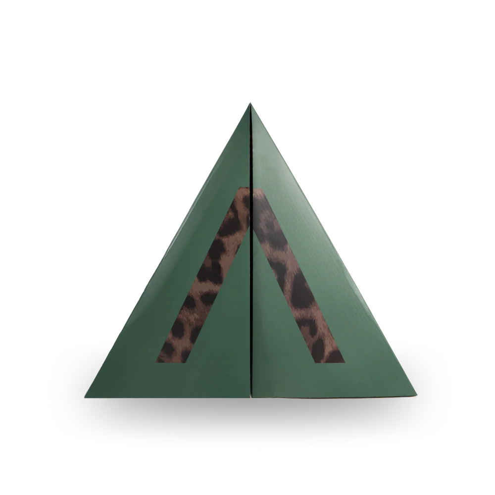 ACTA ADVENT CALENDAR