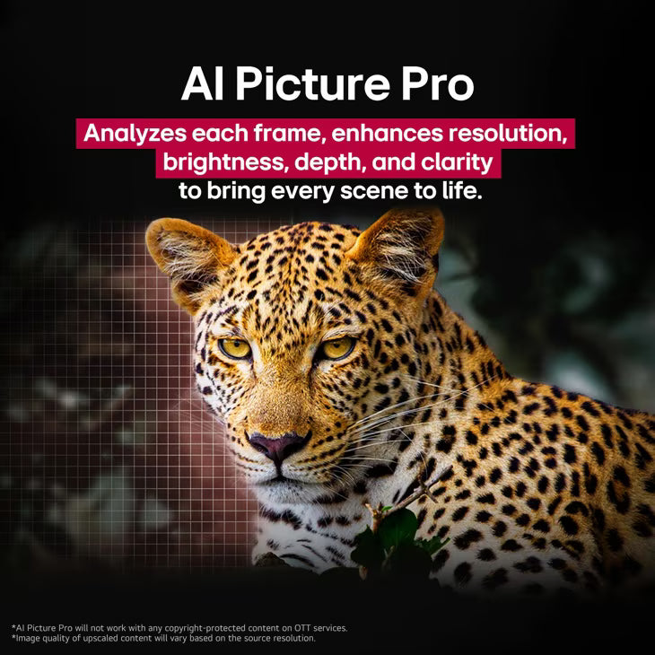 LG OLED evo AI C5 4K Smart TV